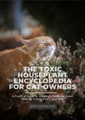 The Toxic Houseplant Encyclopedia for Cat Owners
