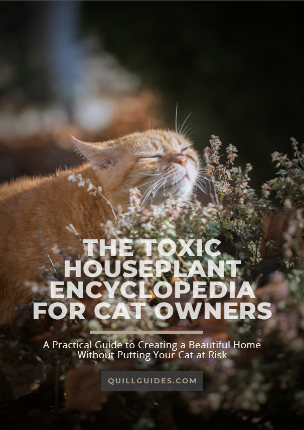 The Toxic Houseplant Encyclopedia for Cat Owners